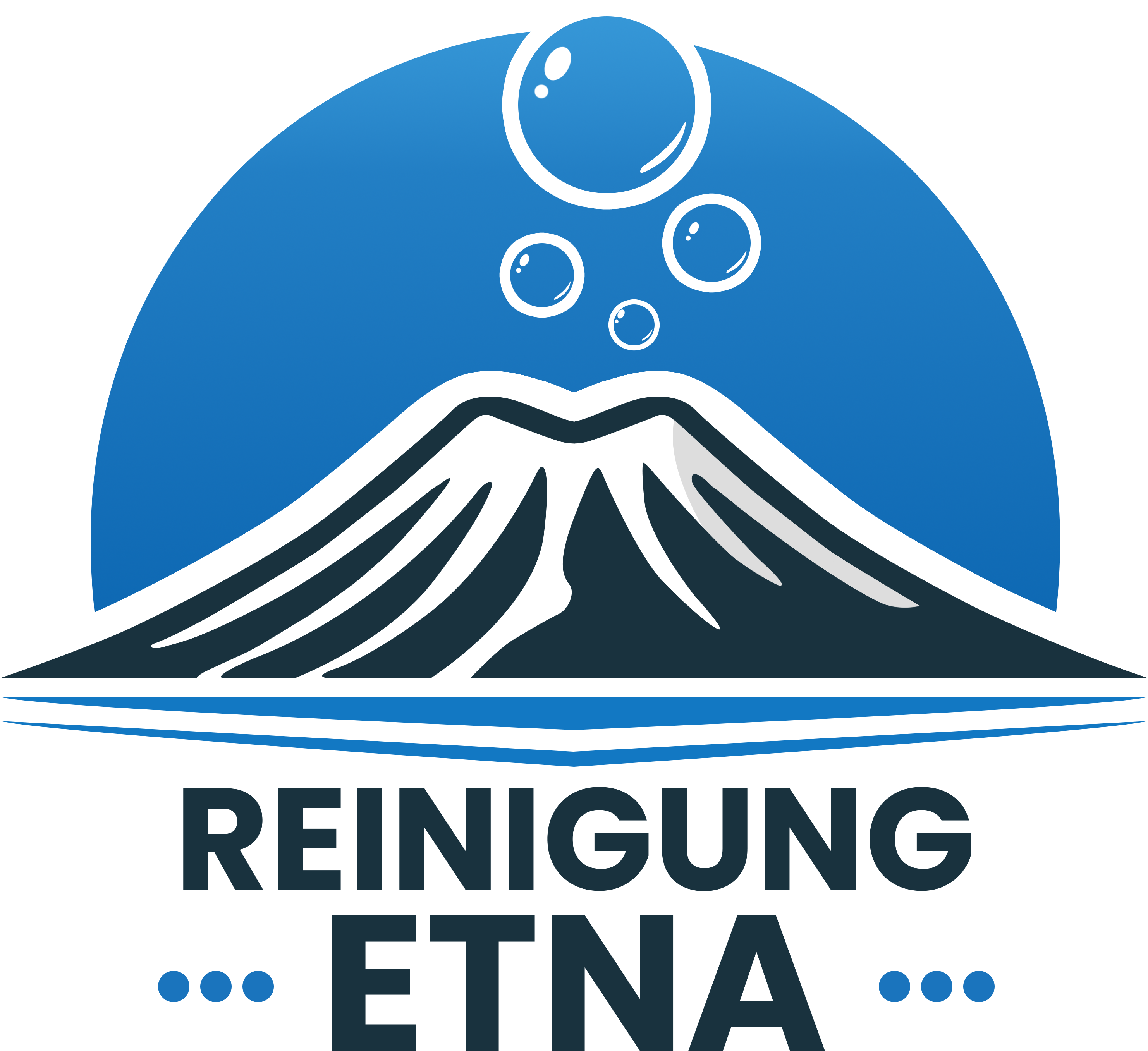 Reinigung Etna